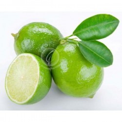 青檸 Lime 10ml